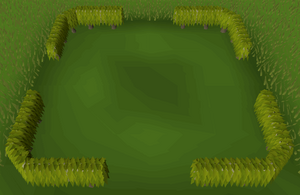 Small box hedge built.png